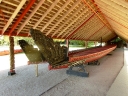 whangarei (27)